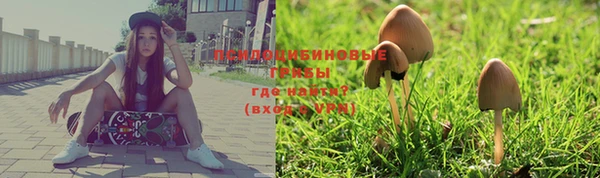 таблы Михайлов