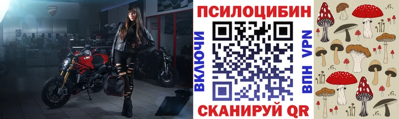 как найти наркотики  Ижевск  Галлюциногенные грибы Cubensis 