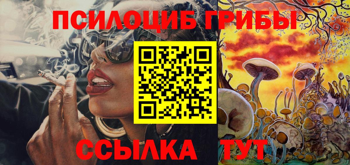 Ижевск  Галлюциногенные грибы Cubensis  Вход с VPN  Галлюциногенные грибы MAGIC MUSHROOMS 