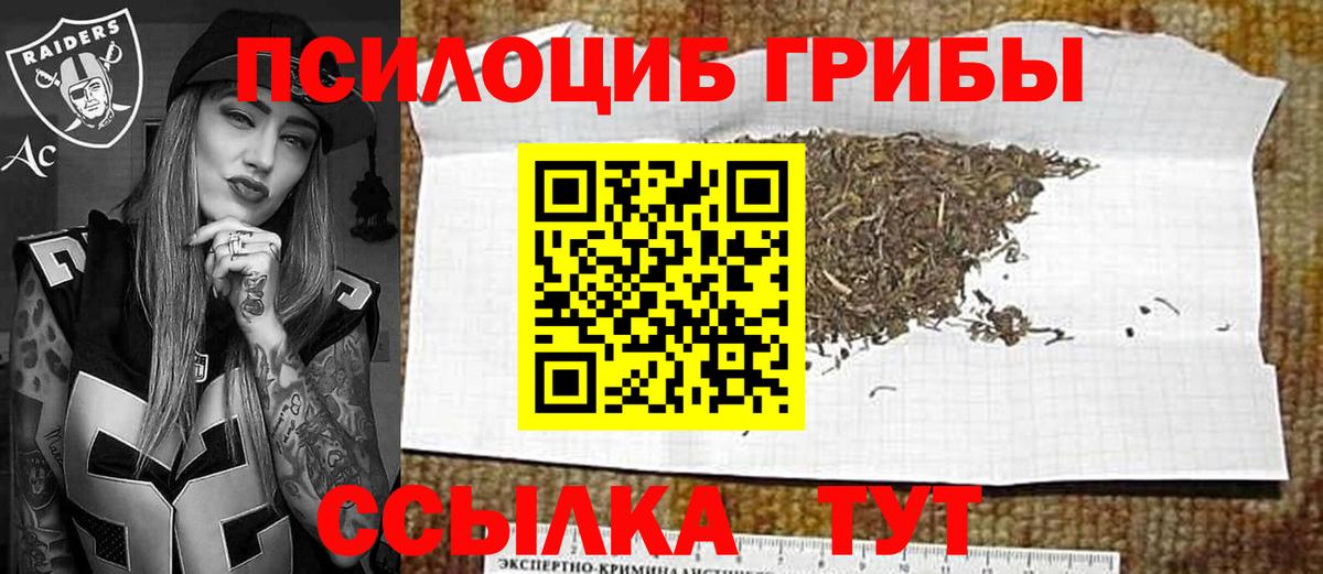 Галлюциногенные грибы мицелий Ижевск